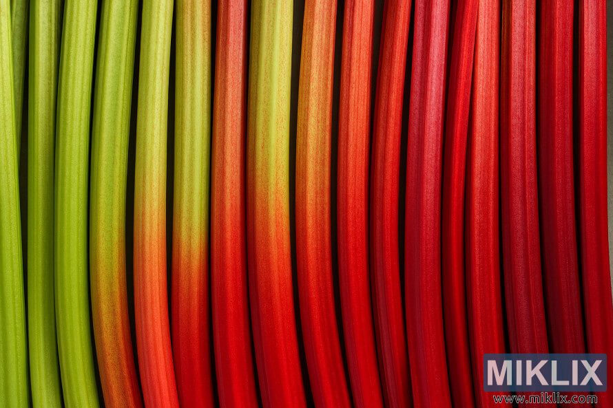 Close-up of rhubarb stalks arranged side by side, showing color variations from green to red