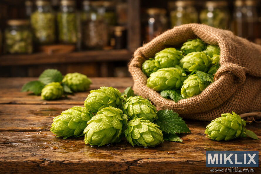 à¬à­à¬°à¬¾à¬®à­à¬£ à¬à¬¾à¬  à¬à­à¬¬à­à¬²à­ à¬à¬ªà¬°à­ à¬à¬¾à¬à¬° à¬¬à¬¿à¬¨à­à¬¦à­ à¬¸à¬¹à¬¿à¬¤ à¬¸à¬¤à­à¬ à¬¸à¬¬à­à¬ à¬à­à¬²à¬·à­à¬à¬° à¬¹à¬ªà­ à¬à­à¬¨à­, à¬®à¬à¬¿à¬°à­ à¬¹à¬ªà­à¬¸à¬° à¬à¬ à¬¬à¬¾à¬°à¬²à¬¾à¬ªà­ à¬¬à¬¸à­à¬¤à¬¾, à¬à¬¬à¬ à¬ªà­à¬·à­à¬ à¬­à­à¬®à¬¿à¬°à­ à¬à¬¸à­à¬ªà¬·à­à¬ à¬®à¬¦ à¬ªà­à¬°à¬¸à­à¬¤à­à¬¤ à¬¸à¬¾à¬®à¬à­à¬°à­à¥¤