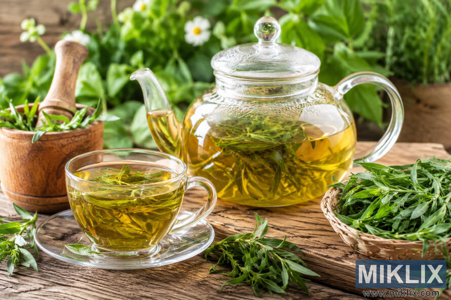 Glass teapot and teacup filled with freshly brewed tarragon tea on a rustic wooden table surrounded by fresh tarragon leaves, herbal preparation tools, and soft natural greenery in the background.