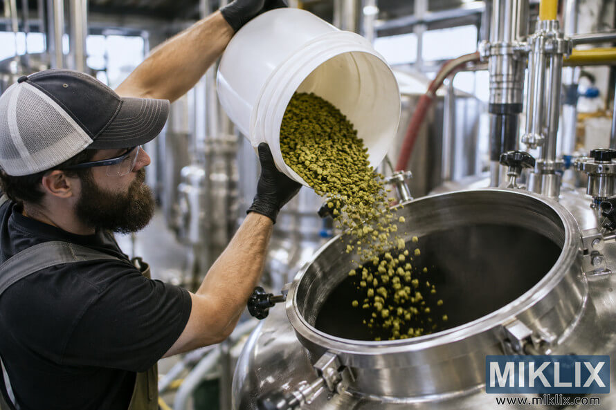 Brewery worker wearing safety glasses and gloves pours green dry hop pellets from a white bucket into the open hatch of a stainless-steel fermenter in a modern brewery. Brewery worker wearing safety glasses and gloves pours green dry hop pellets from a white bucket into the open hatch of a stainless-steel fermenter in a modern brewery.