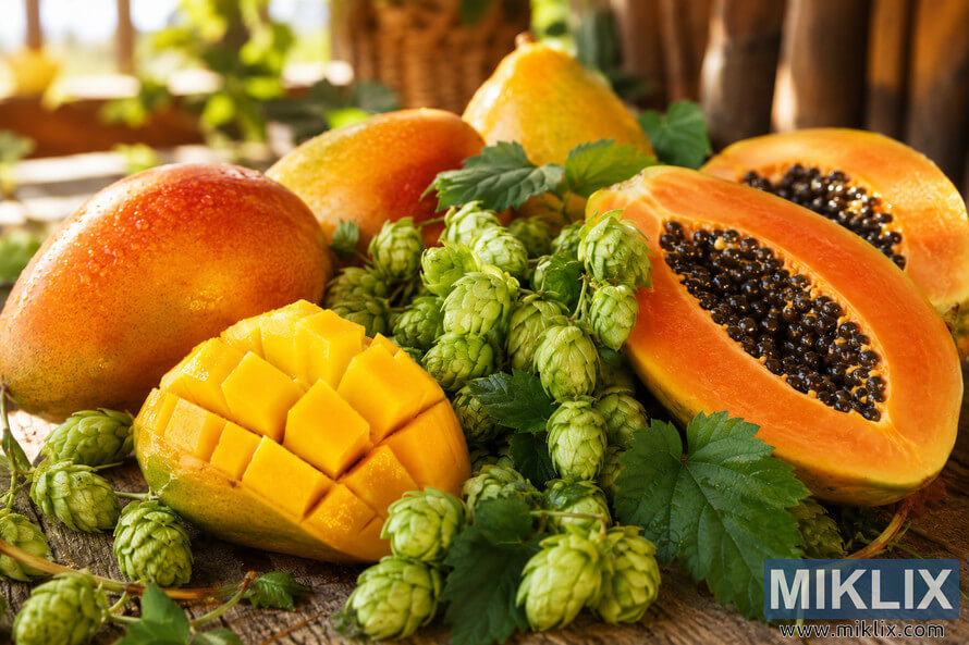A vibrant tropical still-life featuring ripe mangoes, sliced papayas with glistening seeds, and clusters of fresh green hops arranged on a rustic wooden table in warm natural light.