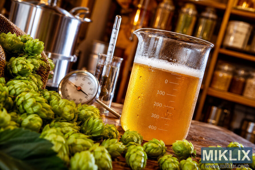 Close-up of a glass beaker filled with golden beer surrounded by fresh green hop cones and brewing tools in a warmly lit brewery setting. Close-up of a glass beaker filled with golden beer surrounded by fresh green hop cones and brewing tools in a warmly lit brewery setting.