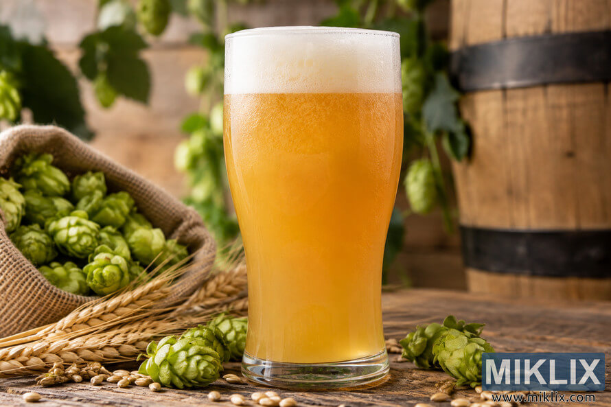 Cloudy golden wheat beer with a creamy white foam head in a tall glass, surrounded by fresh green hops, wheat stalks, loose grain, and a rustic wooden barrel. Cloudy golden wheat beer with a creamy white foam head in a tall glass, surrounded by fresh green hops, wheat stalks, loose grain, and a rustic wooden barrel.