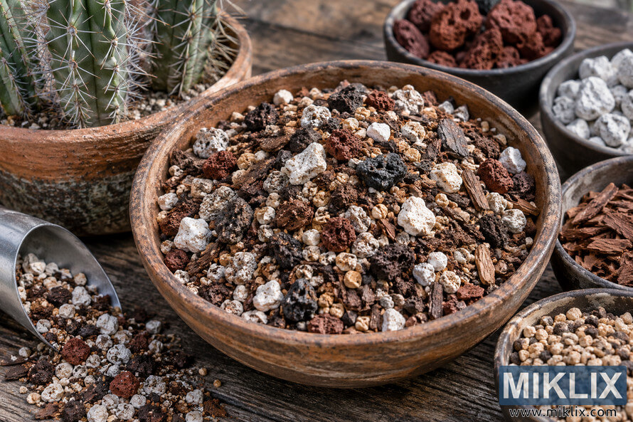 Coarse gritty cactus potting mix with pumice-like stones, volcanic rock and bark in a terracotta bowl beside a spiny cactus. Coarse gritty cactus potting mix with pumice-like stones, volcanic rock and bark in a terracotta bowl beside a spiny cactus.