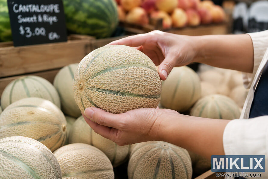 Close-up of hands holding and inspecting a ripe cantaloupe melon at a busy outdoor farmers market surrounded by fresh produce in wooden crates. Close-up of hands holding and inspecting a ripe cantaloupe melon at a busy outdoor farmers market surrounded by fresh produce in wooden crates.