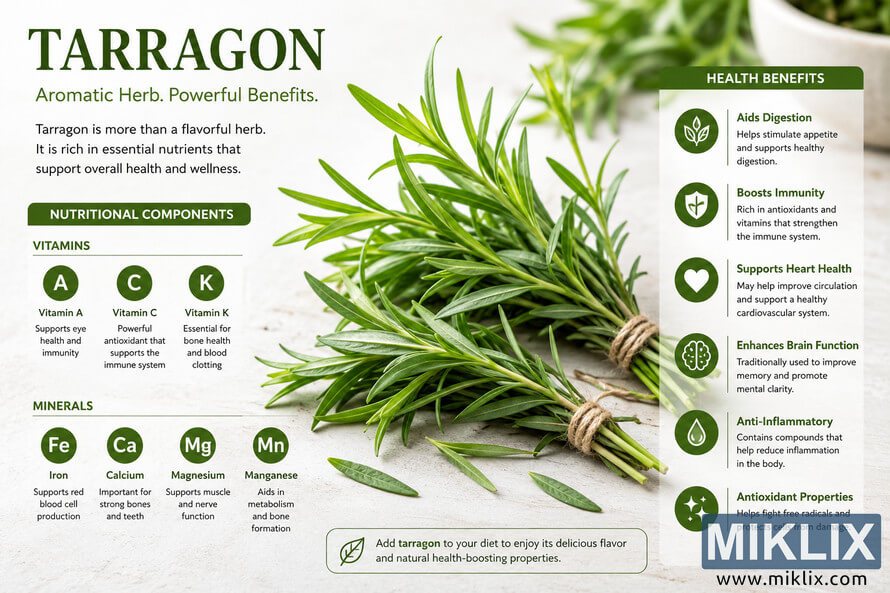 Landscape infographic illustration featuring fresh green tarragon bundles alongside detailed nutritional information about vitamins, minerals, and health benefits. The design includes vitamin A, C, and K icons, mineral content such as iron, calcium, magnesium, and manganese, plus wellness benefits including digestion support, immunity boosting, heart health, brain function, anti-inflammatory effects, and antioxidant properties on a clean botanical background. Landscape infographic illustration featuring fresh green tarragon bundles alongside detailed nutritional information about vitamins, minerals, and health benefits. The design includes vitamin A, C, and K icons, mineral content such as iron, calcium, magnesium, and manganese, plus wellness benefits including digestion support, immunity boosting, heart health, brain function, anti-inflammatory effects, and antioxidant properties on a clean botanical background.