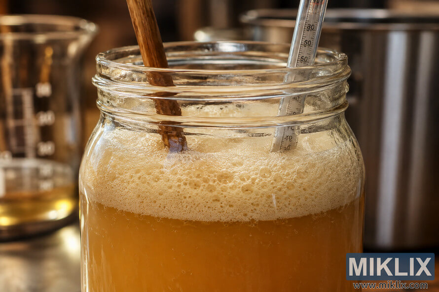 Close-up of an active yeast starter fermenting in a glass jar with creamy foam, honey-colored liquid, a wooden stirring spoon, and a thermometer, surrounded by softly blurred brewing equipment in warm ambient light. Close-up of an active yeast starter fermenting in a glass jar with creamy foam, honey-colored liquid, a wooden stirring spoon, and a thermometer, surrounded by softly blurred brewing equipment in warm ambient light.