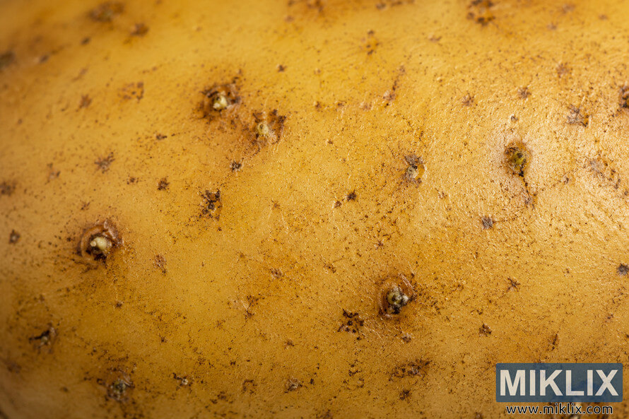 Macro close-up photograph of natural potato skin showing detailed texture, potato eyes, subtle sprouts, earthy speckles, and warm golden-brown color variations under soft directional lighting, emphasizing the nutrient-rich outer peel. Macro close-up photograph of natural potato skin showing detailed texture, potato eyes, subtle sprouts, earthy speckles, and warm golden-brown color variations under soft directional lighting, emphasizing the nutrient-rich outer peel.
