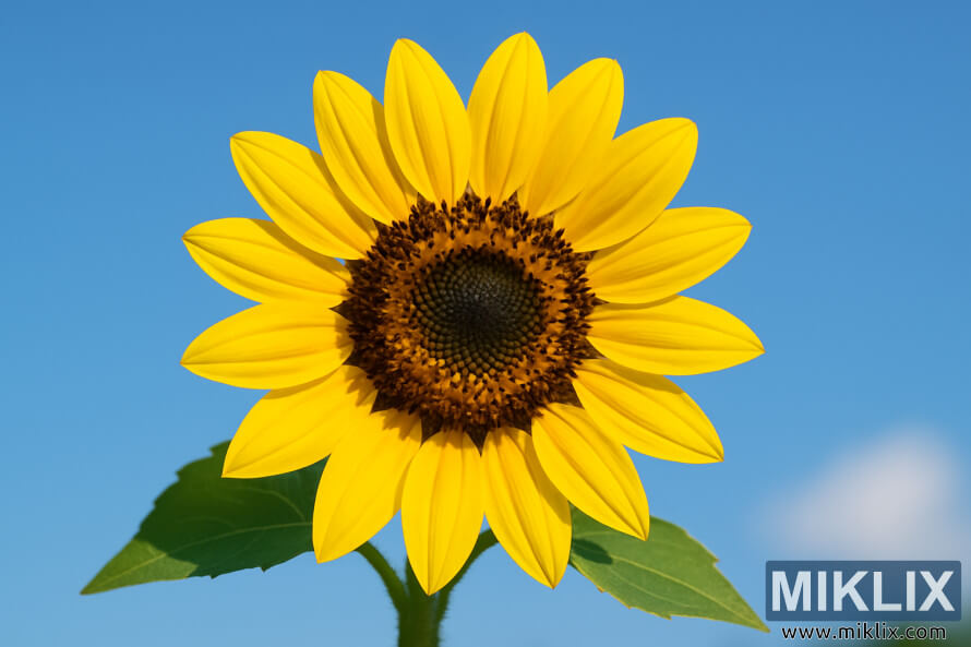 Ø±ÙØ´Ù Ù¾ÛÙÛ Ù¾ÙÚ©Ú¾ÚÛÙÚº Ú©Û Ø³Ø§ØªÚ¾ اÛÙÙ Ø³ÙØ±Ø¬ Ù
Ú©Ú¾Û Ú©Ø§ Ú©ÙÙØ² اپ Ø§ÙØ± Ù
ÙØ³Ù
گرÙ
ا Ú©Û ØµØ§Ù ÙÛÙÛ Ø¢Ø³Ù
Ø§Ù Ú©Û Ø®ÙØ§Ù Ú¯ÛØ±Ø§ Ù
Ø±Ú©Ø²Û Ø±ÙØ´Ù Ù¾ÛÙÛ Ù¾ÙÚ©Ú¾ÚÛÙÚº Ú©Û Ø³Ø§ØªÚ¾ اÛÙÙ Ø³ÙØ±Ø¬ Ù
Ú©Ú¾Û Ú©Ø§ Ú©ÙÙØ² اپ Ø§ÙØ± Ù
ÙØ³Ù
گرÙ
ا Ú©Û ØµØ§Ù ÙÛÙÛ Ø¢Ø³Ù
Ø§Ù Ú©Û Ø®ÙØ§Ù Ú¯ÛØ±Ø§ Ù
رکزÛ