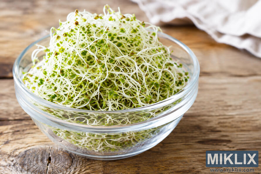 Fresh green alfalfa sprouts piled in a clear glass bowl on a rustic wooden table with soft natural lighting and a blurred neutral fabric background.