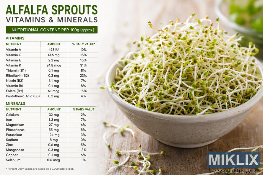 Landscape infographic showing a nutritional chart of vitamins and minerals in alfalfa sprouts beside a ceramic bowl filled with fresh green sprouts on a rustic wooden table.