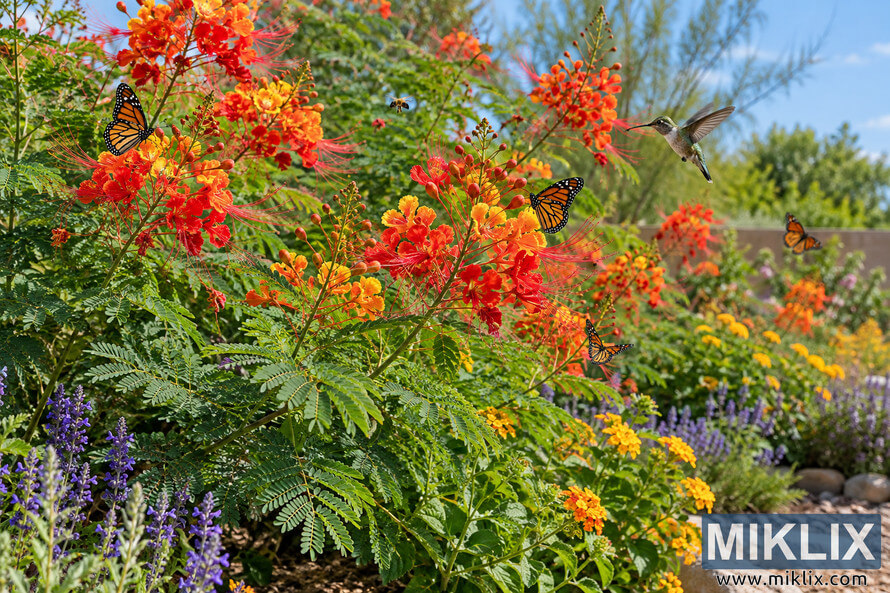 Lush Pride of Barbados-style garden with orange-red flowers, green foliage, butterflies, bees, a hummingbird, purple blooms, and a stone border. Lush Pride of Barbados-style garden with orange-red flowers, green foliage, butterflies, bees, a hummingbird, purple blooms, and a stone border.