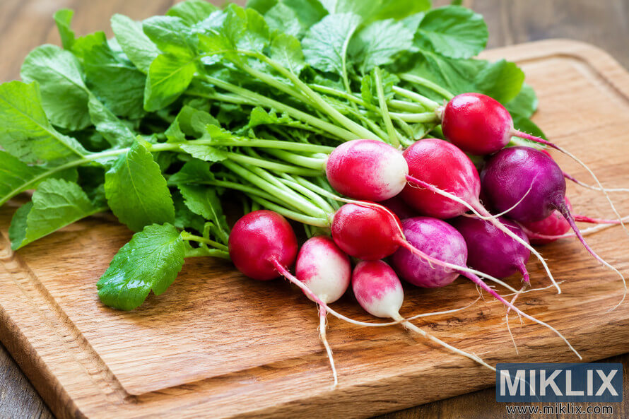 Fresh colorful red, pink, purple, and white radishes with green leafy tops arranged on a rustic wooden cutting board in natural light, photographed in landscape orientation. Fresh colorful red, pink, purple, and white radishes with green leafy tops arranged on a rustic wooden cutting board in natural light, photographed in landscape orientation.
