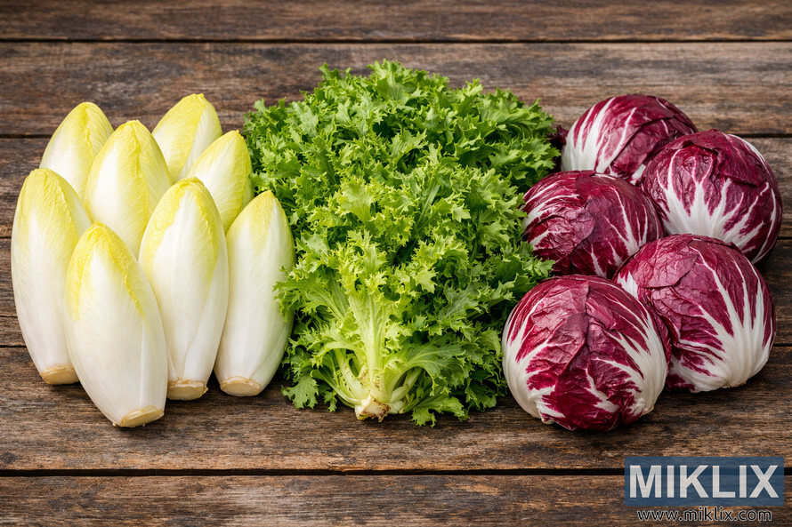 Belgian endive, curly endive, and radicchio arranged side by side on a rustic wooden surface in a high-resolution landscape photograph.