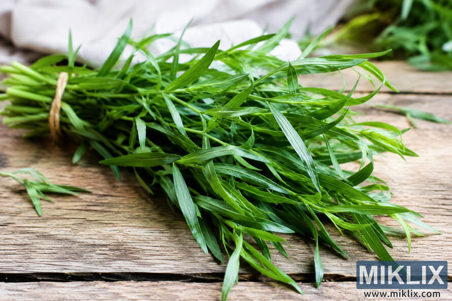 Fresh green tarragon herb sprigs with slender aromatic leaves arranged on a rustic wooden table in natural light, highlighting the freshness and health benefits of the herb. Fresh green tarragon herb sprigs with slender aromatic leaves arranged on a rustic wooden table in natural light, highlighting the freshness and health benefits of the herb.