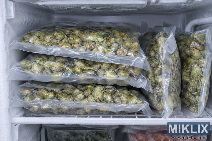 Close-up landscape photo of unbranded transparent vacuum-sealed bags filled with dried green hop cones, stacked horizontally and vertically on a frost-covered shelf inside a freezer. Close-up landscape photo of unbranded transparent vacuum-sealed bags filled with dried green hop cones, stacked horizontally and vertically on a frost-covered shelf inside a freezer.