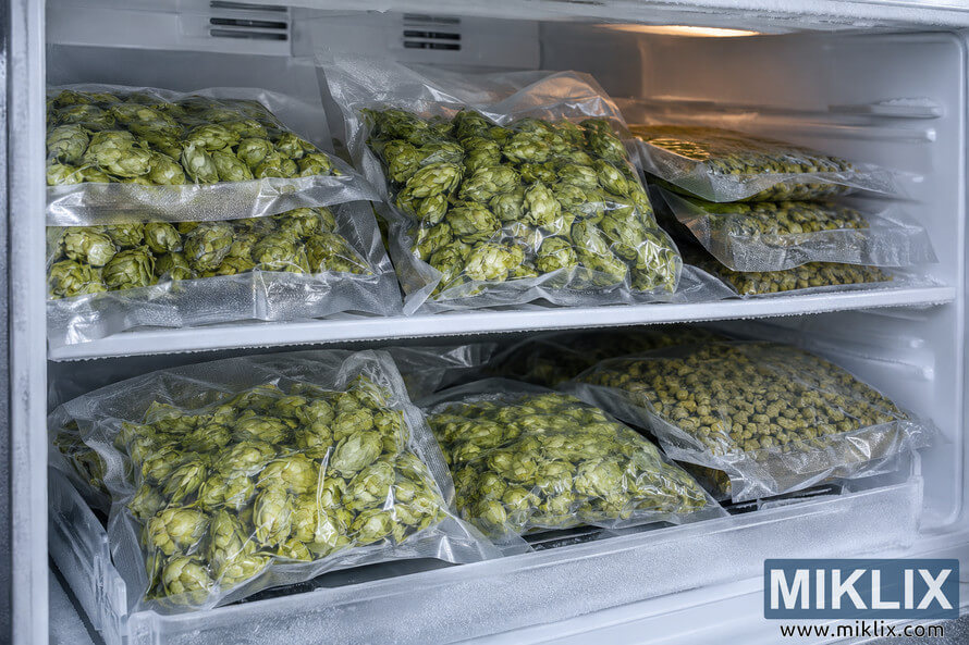 Landscape photo of clear vacuum-sealed bags containing green whole hop cones and hop pellets stacked on two frosty shelves inside a freezer.