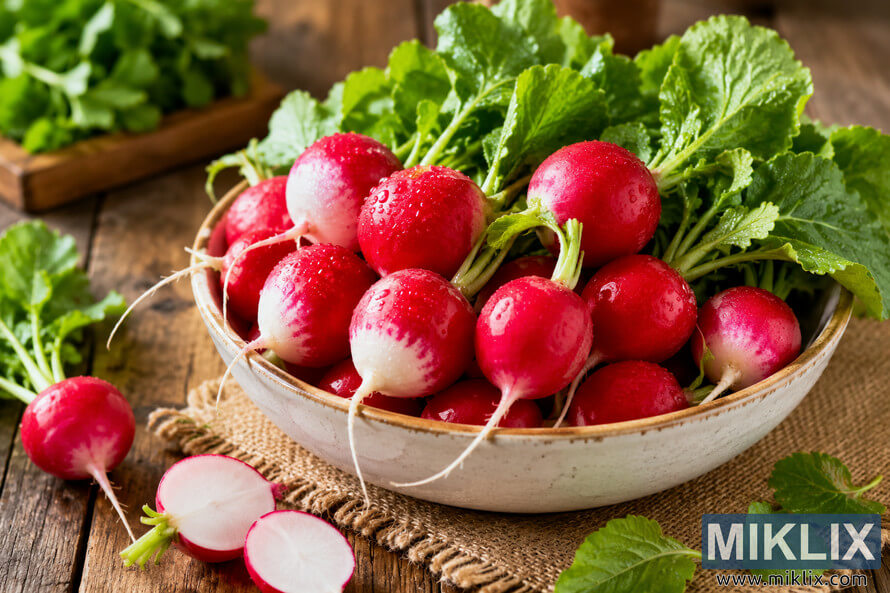 A rustic ceramic bowl filled with fresh red-and-white radishes with vibrant green leaves sits on a weathered wooden table in soft natural light. A sliced radish and several whole radishes are arranged nearby, creating a fresh farm-to-table still life.