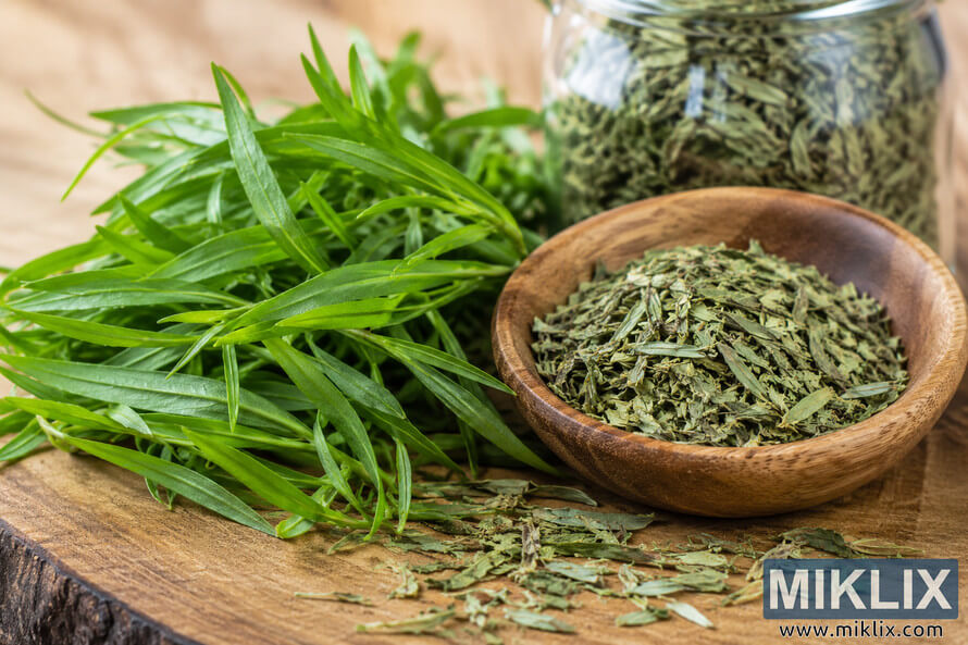 Fresh green tarragon sprigs beside a wooden bowl filled with dried tarragon leaves on a rustic wooden surface, illustrating the concentrated antioxidant health benefits of the herb. Fresh green tarragon sprigs beside a wooden bowl filled with dried tarragon leaves on a rustic wooden surface, illustrating the concentrated antioxidant health benefits of the herb.