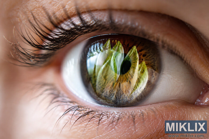 Extreme macro photograph of a human eye with detailed iris texture and eyelashes, reflecting fresh green and white endive leaves in the pupil to symbolize nutrition and vision health. Extreme macro photograph of a human eye with detailed iris texture and eyelashes, reflecting fresh green and white endive leaves in the pupil to symbolize nutrition and vision health.