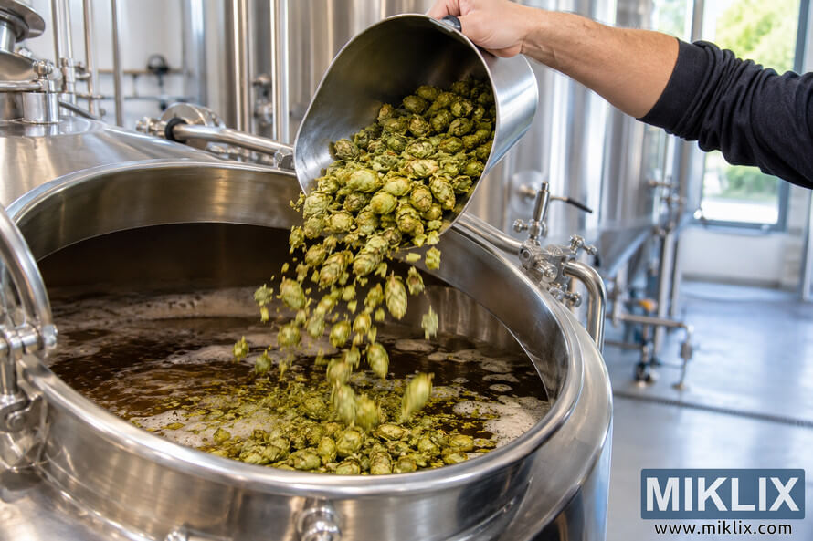 Brewer pouring green Saphir hop cones from a stainless-steel scoop into an open fermenter filled with dark beer during the dry hopping process in a modern brewery.