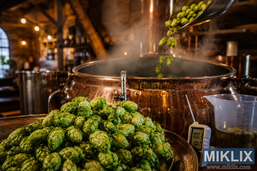 Close-up of fresh dew-covered Challenger hop cones beside a steaming copper brewing kettle as additional hops are added during beer brewing, surrounded by brewing tools inside a warmly lit rustic brewery. Close-up of fresh dew-covered Challenger hop cones beside a steaming copper brewing kettle as additional hops are added during beer brewing, surrounded by brewing tools inside a warmly lit rustic brewery.
