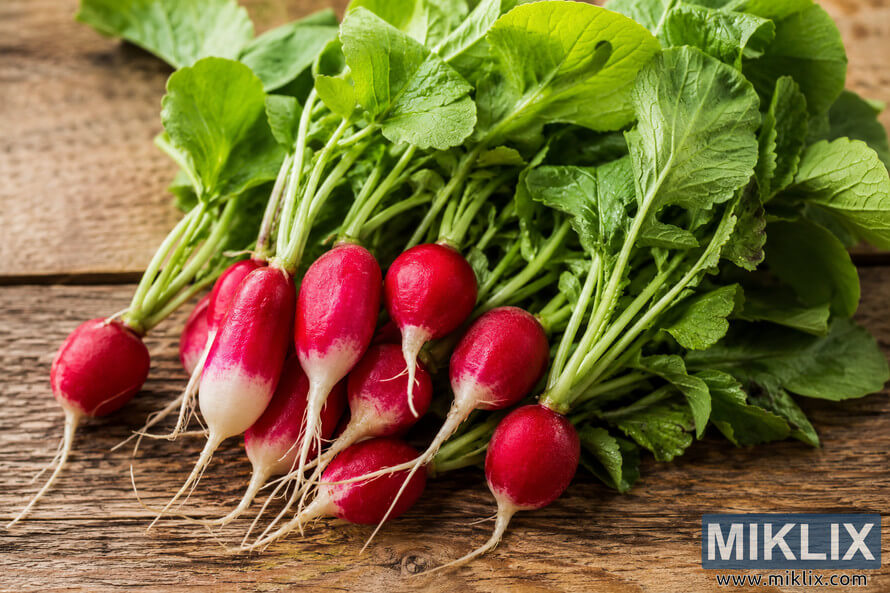 High-resolution landscape photograph of freshly harvested spring radishes with vibrant leafy greens resting on a rustic wooden table, showing vivid red-and-white roots, natural textures, and soft daylight.