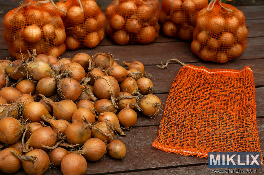 Cured onions with dried stems being packed into orange mesh bags on a wooden surface