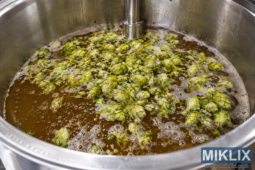 Close-up landscape view inside a stainless-steel beer fermenter, with numerous fresh green hop cones floating on amber-brown liquid among bubbles and patches of foam.