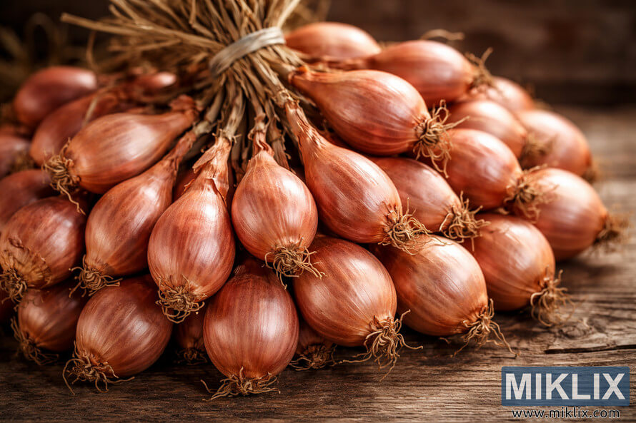 Freshly harvested shallots clustered together with papery brown skins and dried roots on a rustic wooden surface