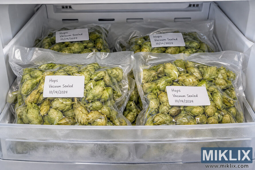 Open freezer drawer containing several clear vacuum-sealed bags filled with whole green hop cones, neatly stacked and labeled for cold storage. Open freezer drawer containing several clear vacuum-sealed bags filled with whole green hop cones, neatly stacked and labeled for cold storage.