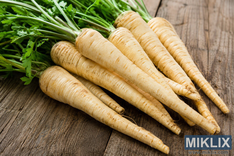 Landscape photograph of several fresh parsnips with vibrant green leafy tops arranged on a rustic wooden table in soft natural light, highlighting their natural texture, freshness, and premium quality for healthy cooking. Landscape photograph of several fresh parsnips with vibrant green leafy tops arranged on a rustic wooden table in soft natural light, highlighting their natural texture, freshness, and premium quality for healthy cooking.