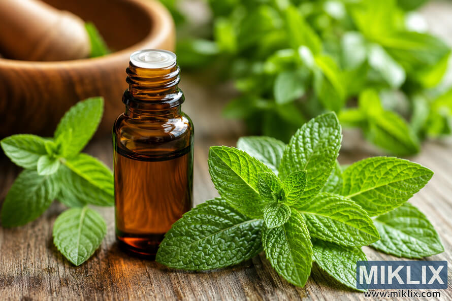 High-resolution landscape image of an amber glass bottle filled with mint essential oil surrounded by vibrant fresh mint leaves on a rustic wooden surface, symbolizing natural anti-inflammatory wellness and aromatherapy. High-resolution landscape image of an amber glass bottle filled with mint essential oil surrounded by vibrant fresh mint leaves on a rustic wooden surface, symbolizing natural anti-inflammatory wellness and aromatherapy.
