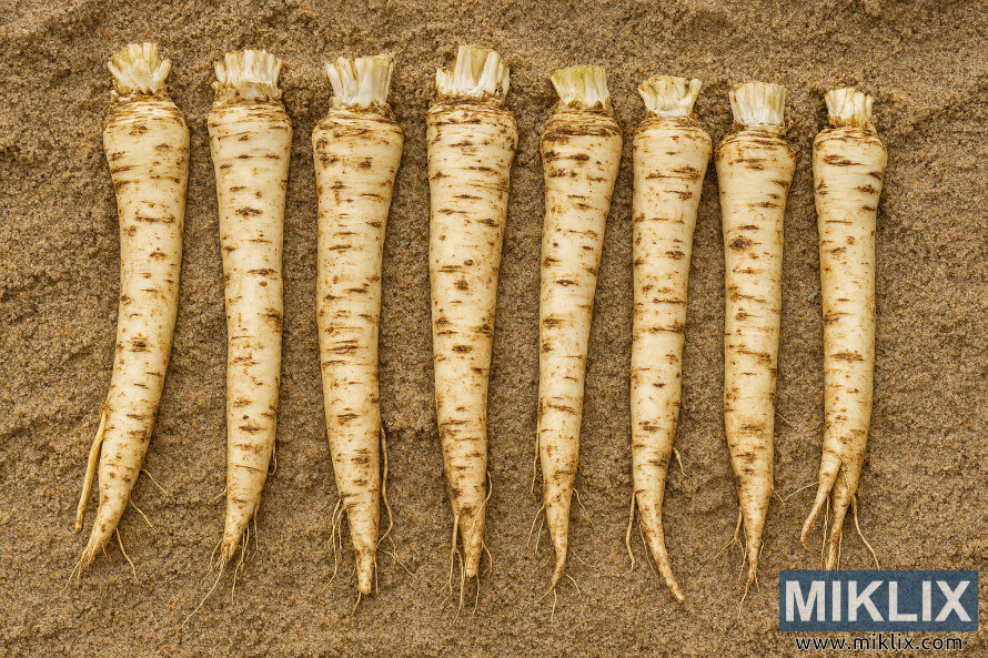 à°¨à°¿à°²à±à°µ à°à±à°¸à° à°à±à°à±à° à°ªà±à°à±à°à± à°²à±à°ªà°² à°¤à°¡à°¿ à°à°¸à±à°à°²à± à°ªà°¾à°à±à°·à°¿à°à°à°à°¾ à°ªà°¾à°¤à°¿à°ªà±à°à±à°à°¿à°¨ à°¶à±à°­à±à°°à°®à±à°¨ à°à±à°°à±à°°à°ªà±à°®à±à°²à±à°²à°à°à°¿ à°µà±à°°à±à°²à°¨à± à°à°à°à°à°¡à°¿.