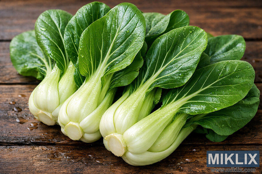 Close-up landscape photo of fresh bok choy arranged on a rustic wooden surface, showing crisp green leaves and white stalks with water droplets. Close-up landscape photo of fresh bok choy arranged on a rustic wooden surface, showing crisp green leaves and white stalks with water droplets.