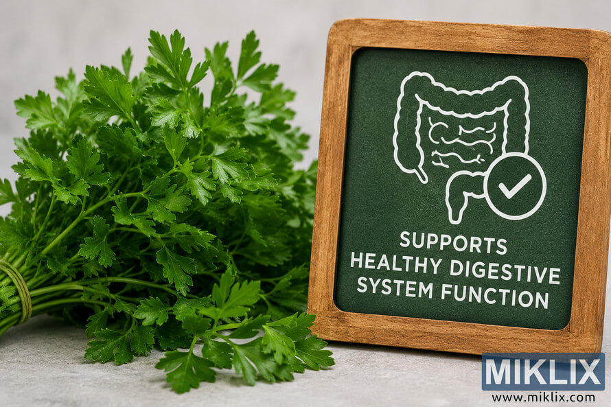 Fresh green parsley arranged beside a wooden-framed digestive health sign featuring a colon illustration and the message 'Supports Healthy Digestive System Function' on a soft neutral background. Fresh green parsley arranged beside a wooden-framed digestive health sign featuring a colon illustration and the message 'Supports Healthy Digestive System Function' on a soft neutral background.