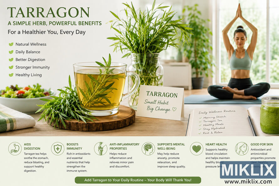 Bright wellness lifestyle scene featuring fresh tarragon tea, healthy foods, yoga, and holistic self-care in a modern sunlit kitchen with educational wellness benefits infographic.