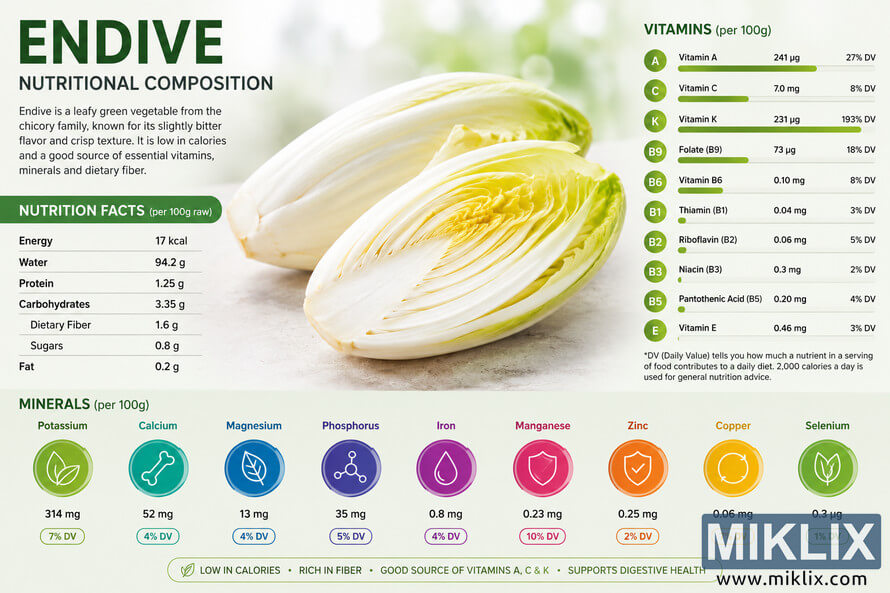 Landscape infographic showing sliced endive with nutrition facts, vitamin bars, mineral icons, and health benefit highlights. Landscape infographic showing sliced endive with nutrition facts, vitamin bars, mineral icons, and health benefit highlights.