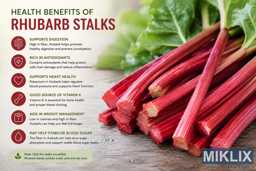 Landscape infographic featuring fresh red rhubarb stalks on a rustic wooden table with green leaves in the background. The left side contains informational text and icons describing the health benefits of rhubarb, including digestion support, antioxidants, heart health, vitamin K, weight management, and blood sugar balance. A caution note explains that only the stalks are edible because rhubarb leaves are toxic. Landscape infographic featuring fresh red rhubarb stalks on a rustic wooden table with green leaves in the background. The left side contains informational text and icons describing the health benefits of rhubarb, including digestion support, antioxidants, heart health, vitamin K, weight management, and blood sugar balance. A caution note explains that only the stalks are edible because rhubarb leaves are toxic.