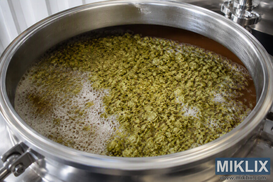 Close-up view of dry hop material floating on top of actively fermenting beer inside an open stainless steel fermentation vessel. Green hop particles form a dense layer across the amber liquid surface, with patches of foam and bubbles visible around the hops. Industrial brewing equipment surrounds the fermenter in a clean brewery environment.