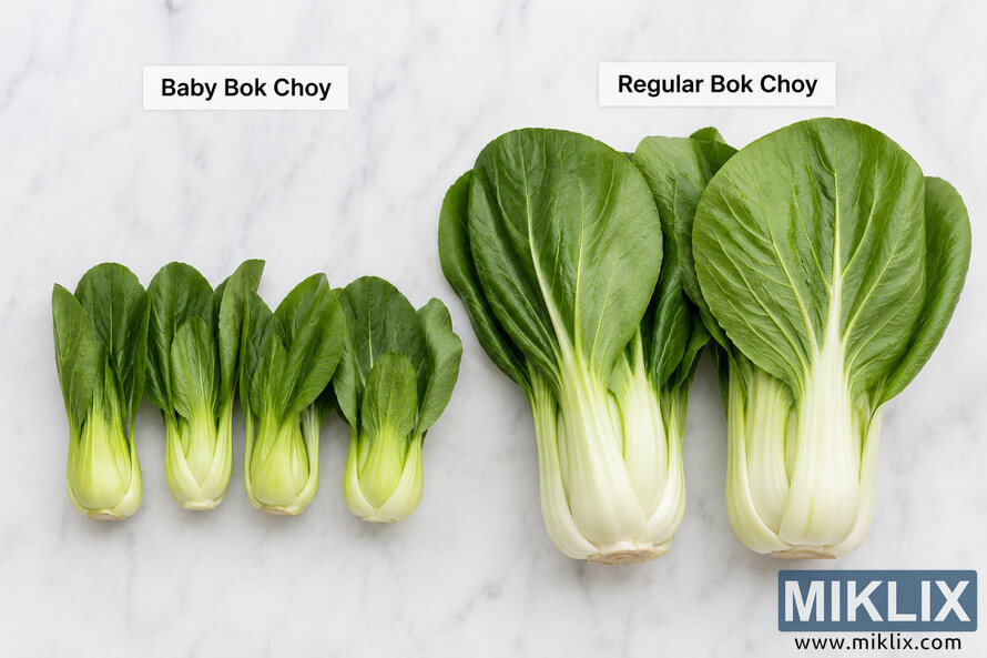 Overhead landscape comparison of four baby bok choy heads and two regular bok choy heads arranged side by side on a light marble surface with labeled headings showing the size difference between the two varieties. Overhead landscape comparison of four baby bok choy heads and two regular bok choy heads arranged side by side on a light marble surface with labeled headings showing the size difference between the two varieties.
