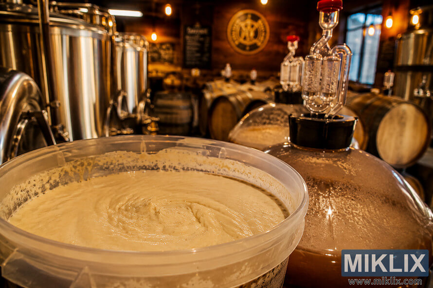 Close-up of a creamy pale yeast culture in a fermentation container inside a warmly lit craft brewery with brewing vessels, airlocks, wooden barrels, and stainless steel tanks in the background.