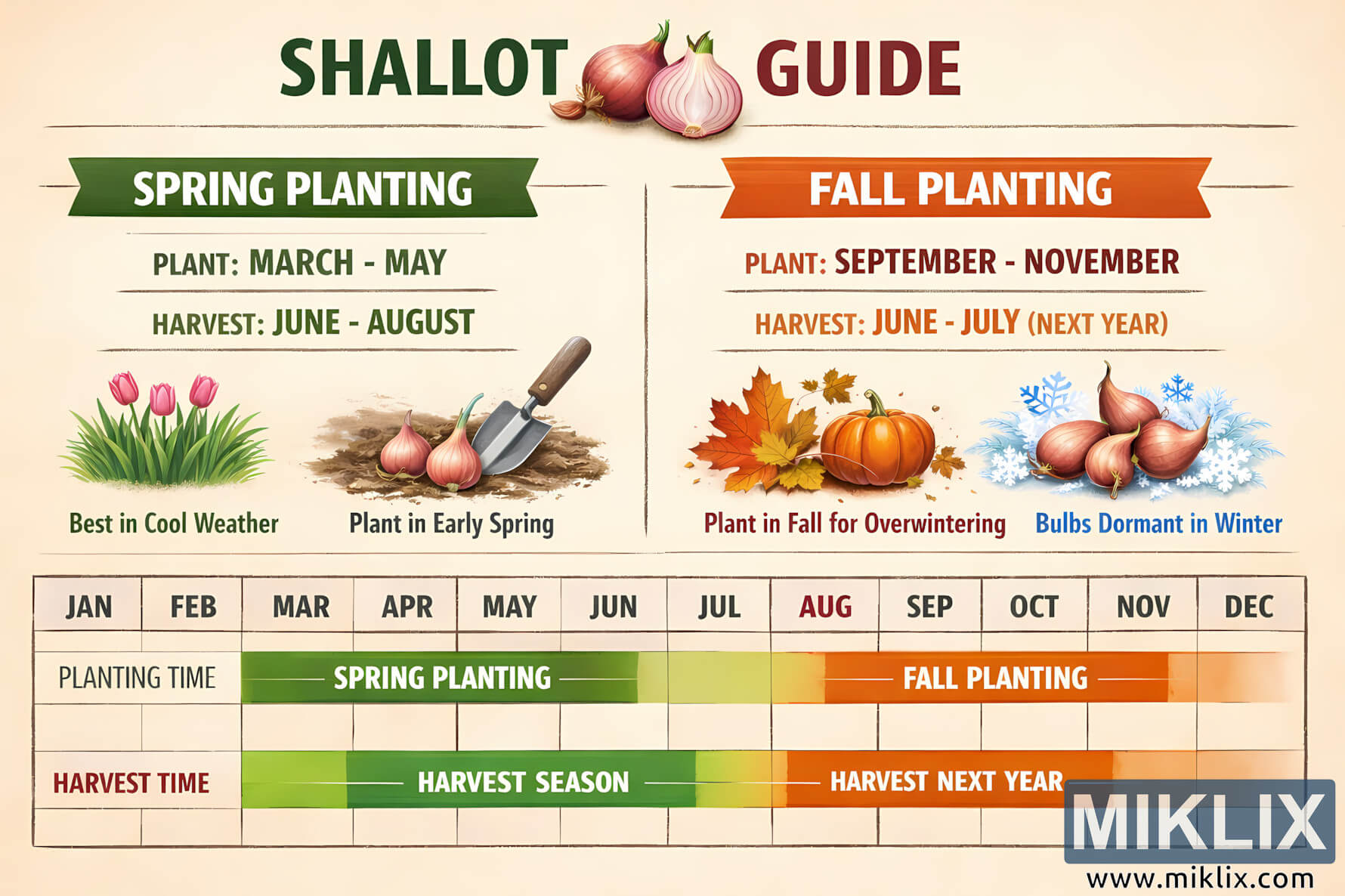 Image: Shallot Planting Guide Calendar - Miklix