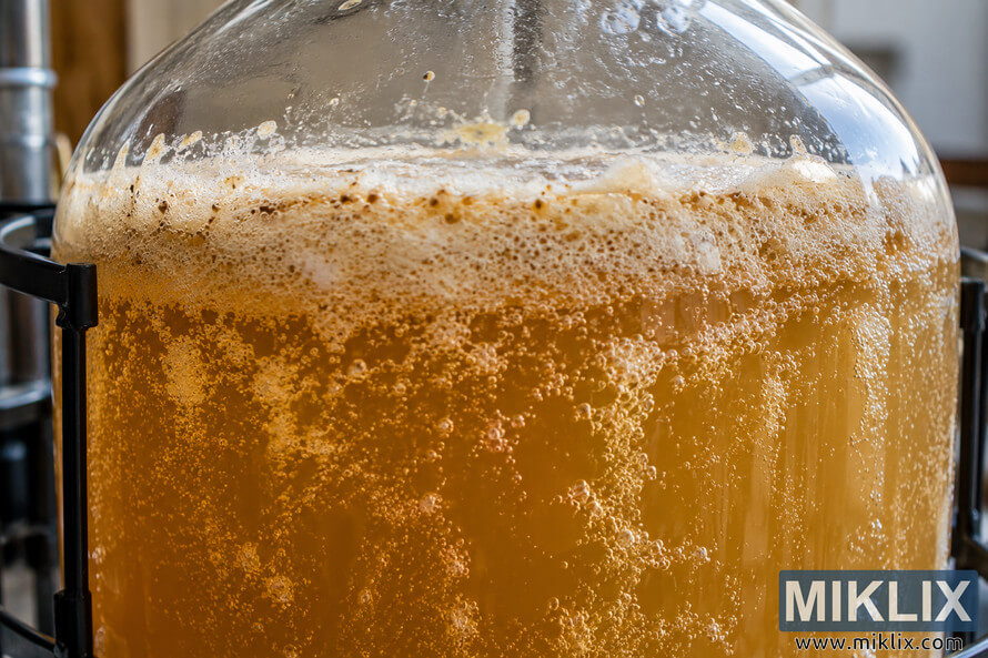 Close-up of cloudy golden liquid actively fermenting in a glass vessel, with streams of rising bubbles and a thick layer of beige foam. Close-up of cloudy golden liquid actively fermenting in a glass vessel, with streams of rising bubbles and a thick layer of beige foam.