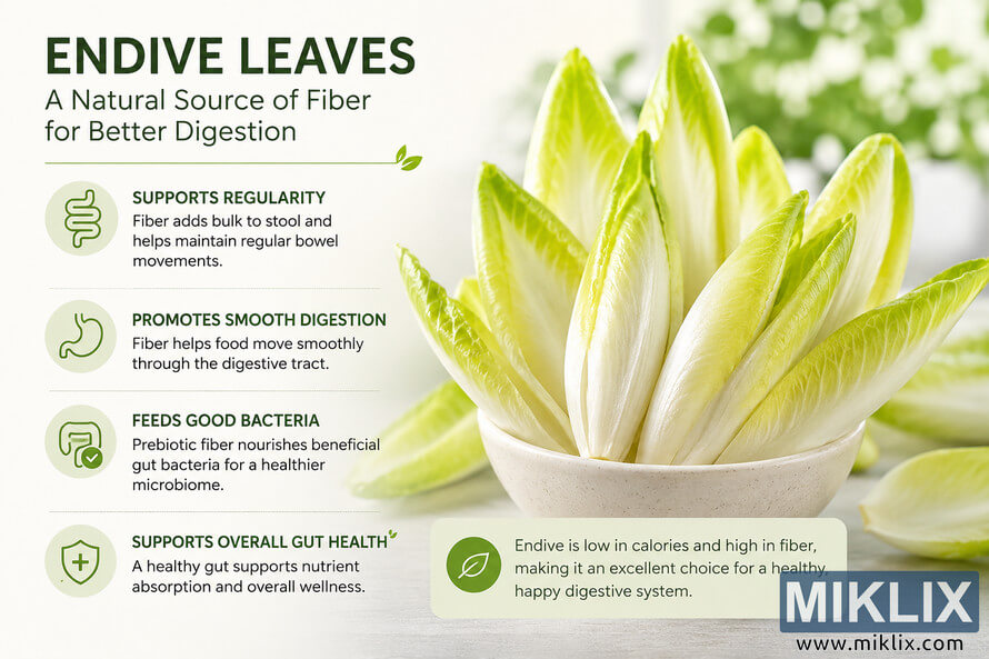Illustration of fresh endive leaves in a bowl beside informational text and icons explaining the digestive health benefits of dietary fiber, including regularity, smooth digestion, gut bacteria support, and overall gut wellness. Illustration of fresh endive leaves in a bowl beside informational text and icons explaining the digestive health benefits of dietary fiber, including regularity, smooth digestion, gut bacteria support, and overall gut wellness.