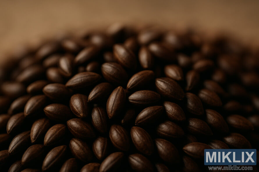 Kusa da busasshiyar hatsin Carafa malt a cikin haske mai dumi tare da laushin laushi da launi mai kyau. Kusa da busasshiyar hatsin Carafa malt a cikin haske mai dumi tare da laushin laushi da launi mai kyau.