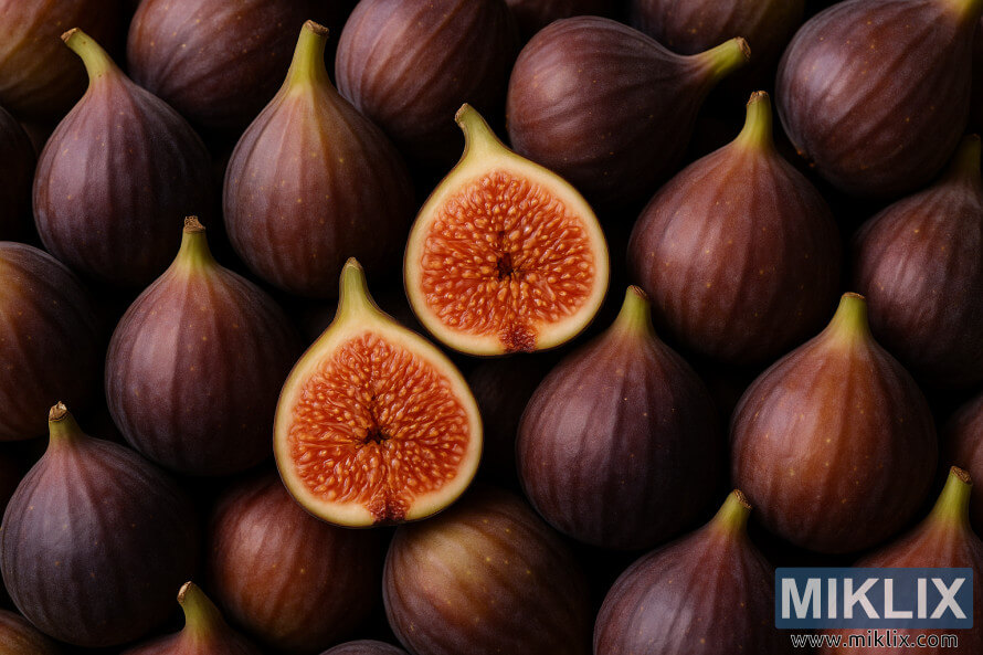 à°®à±à°¦à±à°°à± à°à°¦à°¾ à°®à°°à°¿à°¯à± à°à°à±à°ªà°à±à° à°°à°à°à±à°²à°²à± à°®à±à°¤à±à°¤à° à°à°¤à±à°¤à°¿ à°ªà°à°¡à±à°²à°¤à± à°à±à°à±à°à±à°®à±à°à±à°à°¬à°¡à°¿à°¨, à°à°°à±à°ªà±-à°¨à°¾à°°à°¿à°à° à°°à°à°à± à°²à±à°ªà°²à°¿ à°­à°¾à°à°¾à°¨à±à°¨à°¿ à°à°¨à°¿à°ªà°¿à°à°à±à°²à°¾ à°°à±à°à°¡à± à°à±à°¤à°²à± à°¤à±à°°à°¿à°à°¿ à°à°¨à±à°¨ à°ªà°à°¡à°¿à°¨ à°¬à±à°°à±à°¨à± à°à°°à±à°à± à°à°¤à±à°¤à°¿ à°ªà°à°¡à±à°² à°à±à°²à±à°à°ªà±.