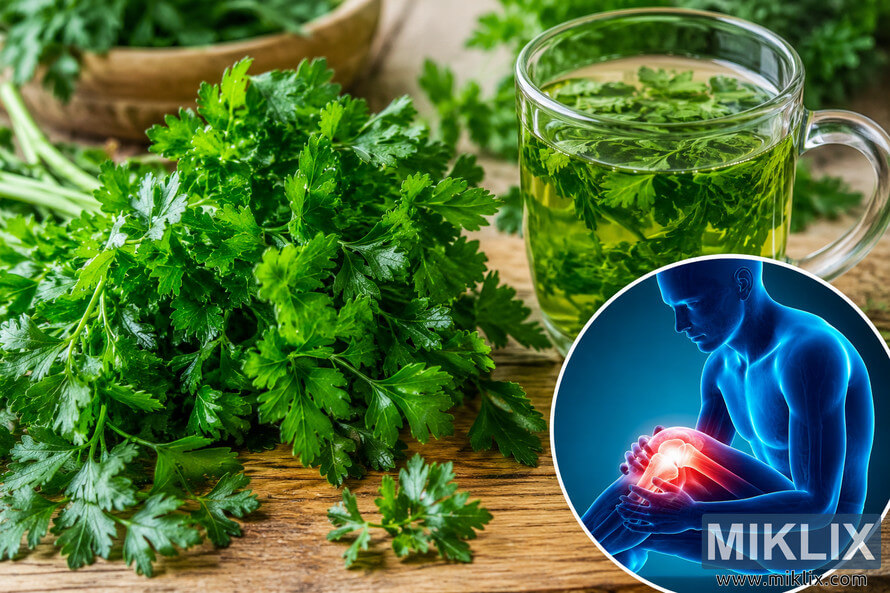 Fresh green parsley arranged on a rustic wooden table beside a glass cup of parsley herbal tea, with a glowing anatomical illustration highlighting knee inflammation and natural wellness. Fresh green parsley arranged on a rustic wooden table beside a glass cup of parsley herbal tea, with a glowing anatomical illustration highlighting knee inflammation and natural wellness.