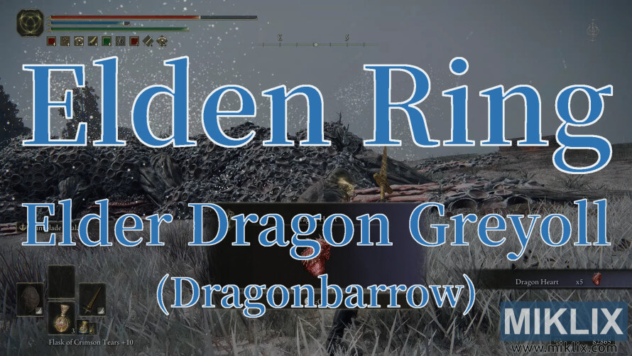 Player stands by Elder Dragon Greyoll's colossal corpse in Elden Ring's Dragonbarrow. Player stands by Elder Dragon Greyoll's colossal corpse in Elden Ring's Dragonbarrow.