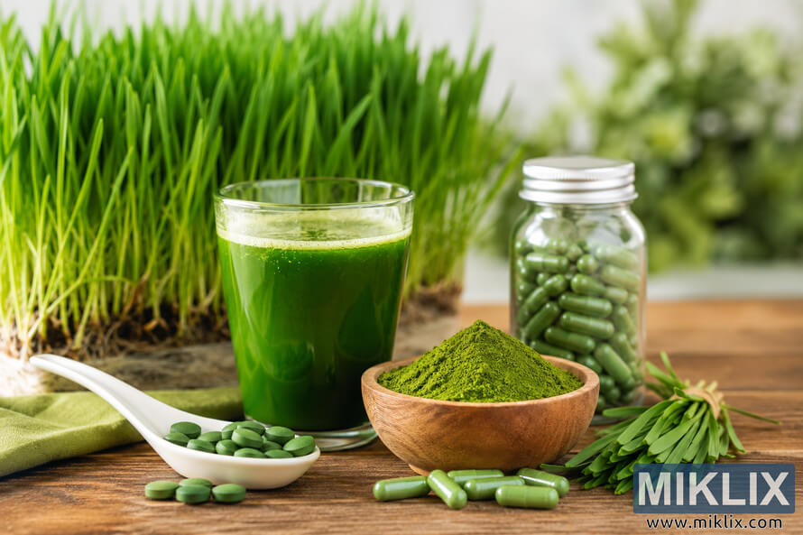 A high-resolution landscape photograph featuring various wheatgrass wellness products arranged on a rustic wooden table, including a glass of fresh green wheatgrass juice, wheatgrass powder in a wooden bowl, capsules, tablets, and vibrant wheatgrass plants in the background. A high-resolution landscape photograph featuring various wheatgrass wellness products arranged on a rustic wooden table, including a glass of fresh green wheatgrass juice, wheatgrass powder in a wooden bowl, capsules, tablets, and vibrant wheatgrass plants in the background.